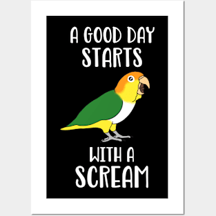 A good day start with a Scream White bellied caique Posters and Art